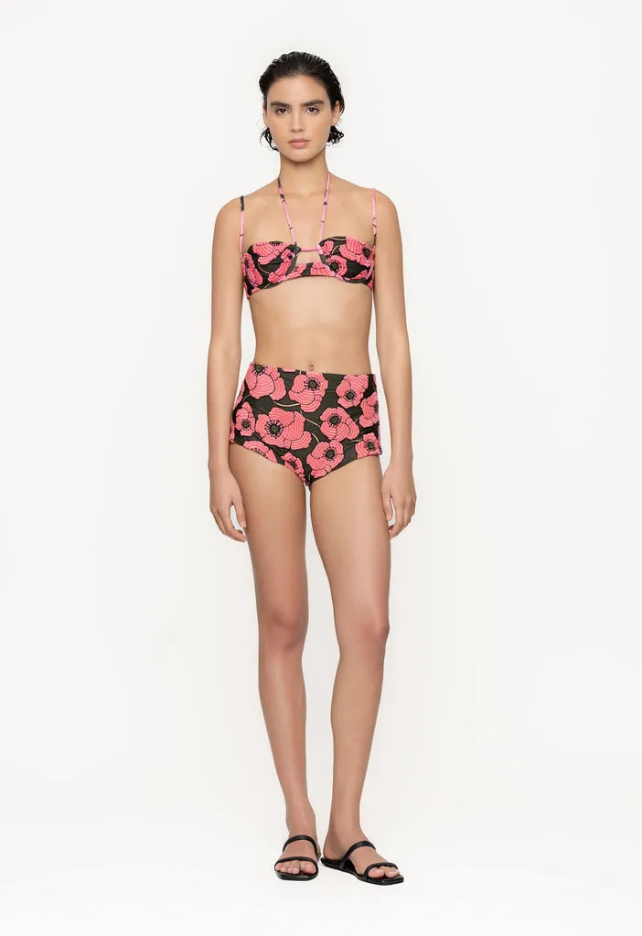 Geranio Botanico Rosa Bikini Bottom