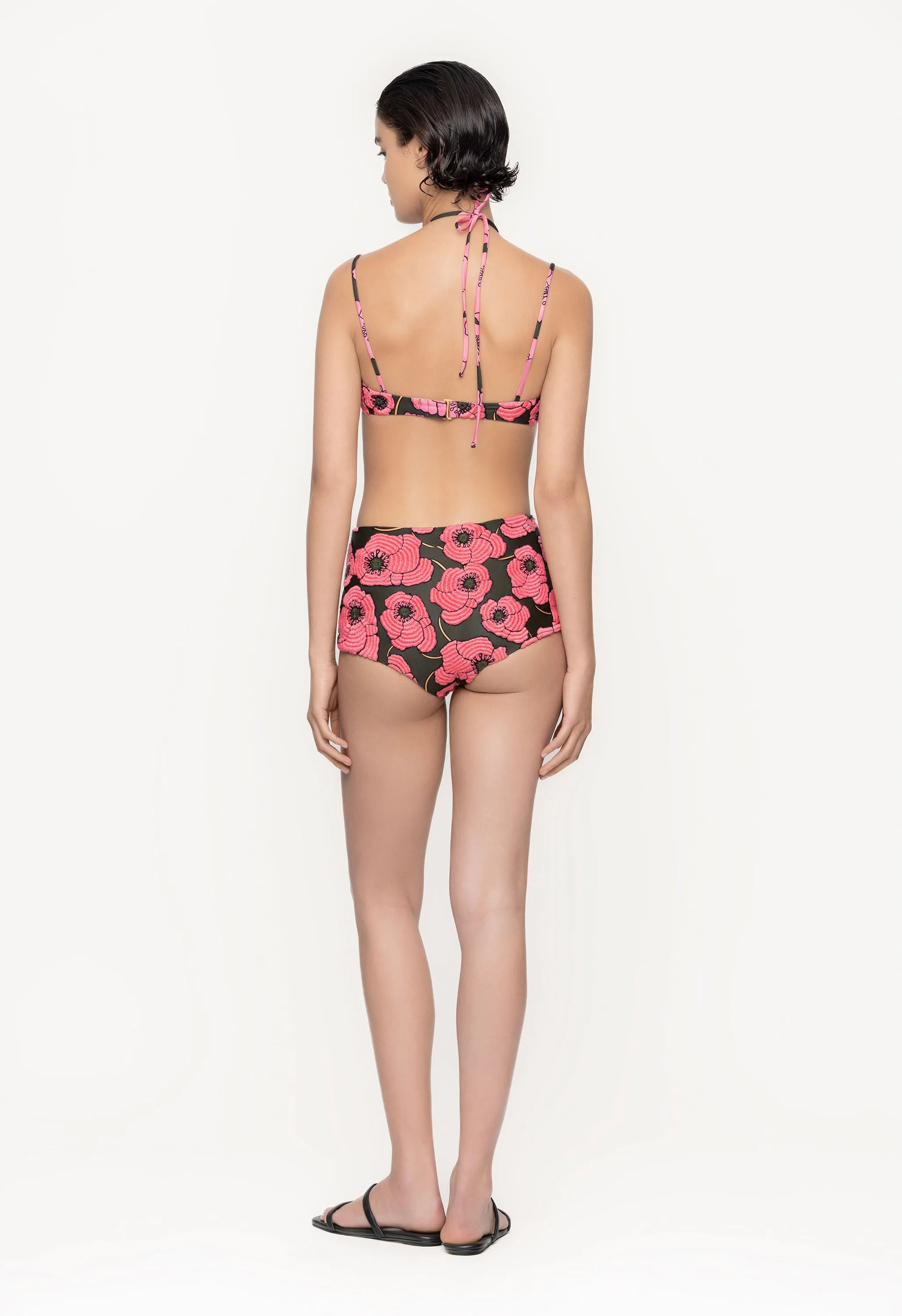 Geranio Botanico Rosa Bikini Bottom