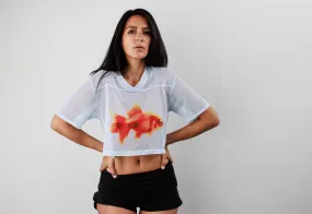 Gold Fish  Football Crop