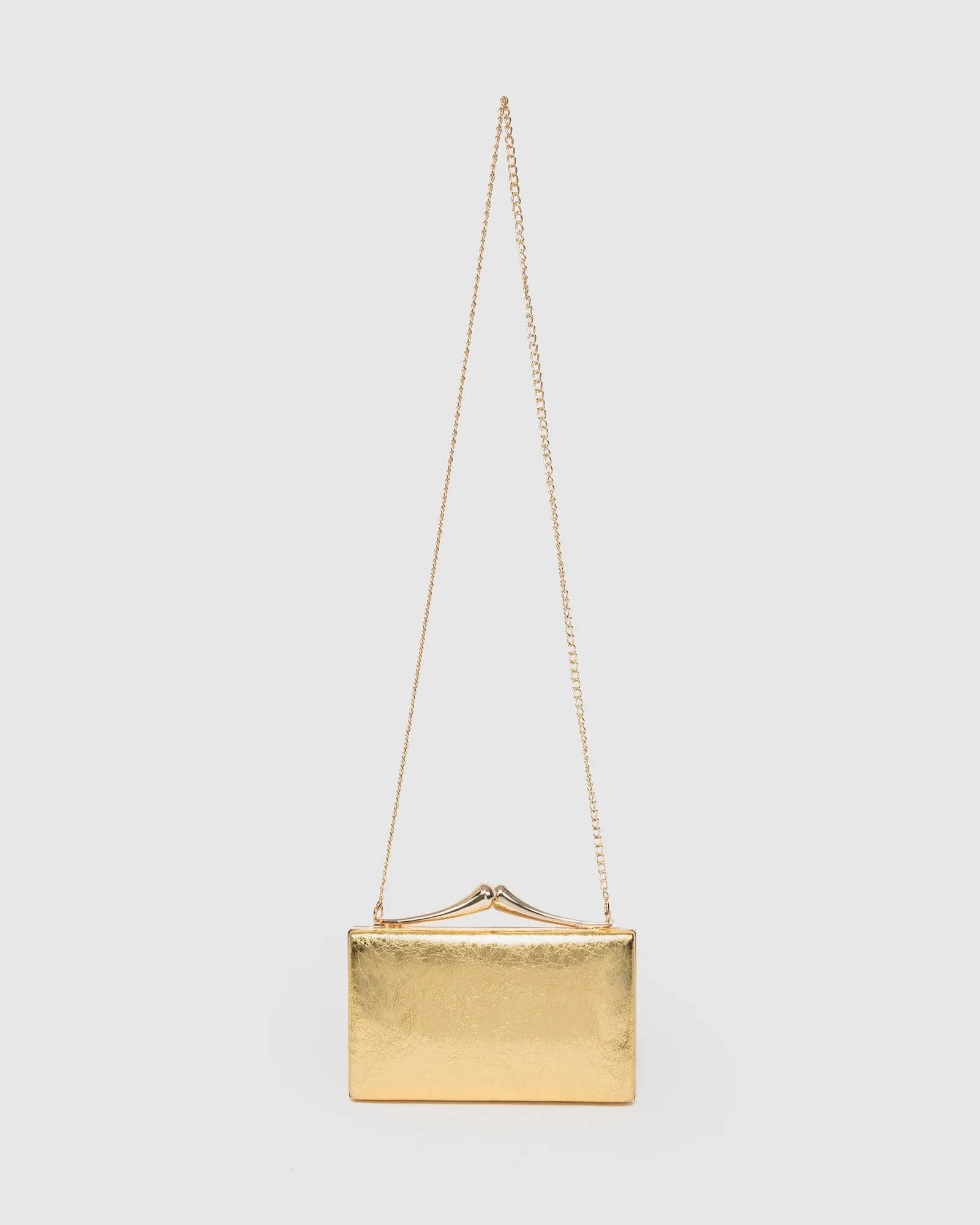 Gold Vienna Hardware Clutch Bag