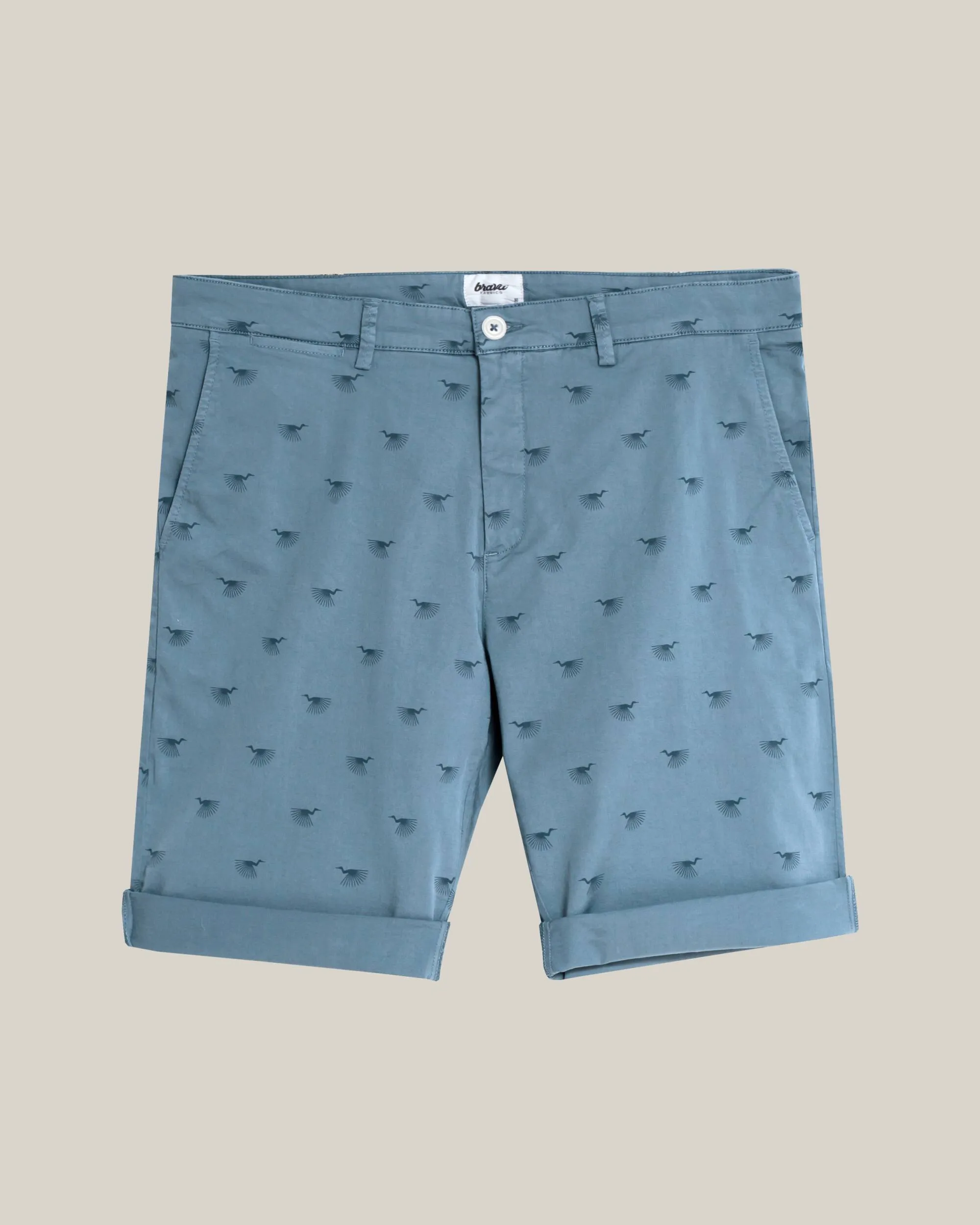 Japanese Sky Printed Shorts