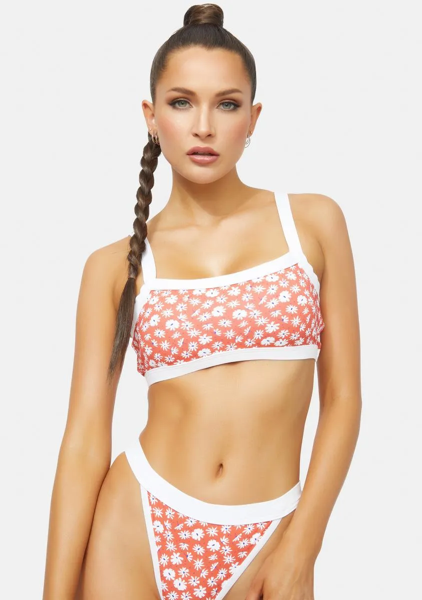 Scattered Daisy Olympia Bikini Top-